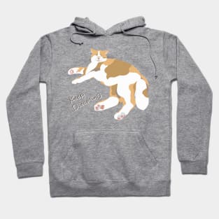 Dreaming Cat - Keep Dreaming Hoodie